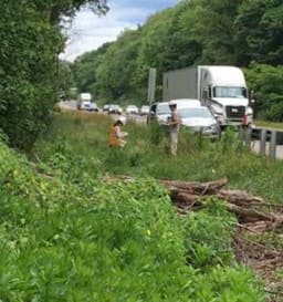 Two individuals with hard hats and safety vests stand in a grassy area along the side of a highway with cars and trucks passing by them.